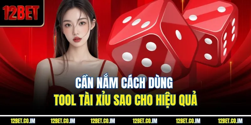 Cần nắm cách dùng tool tài xỉu sao cho hiệu quả